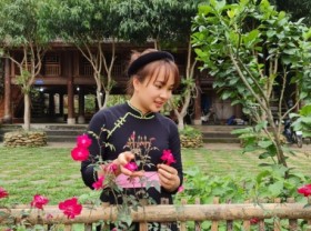 Image: Fairyland in the homestay village