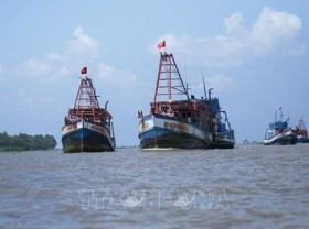 Image: Kien Giang records no IUU violations for consecutive quarters