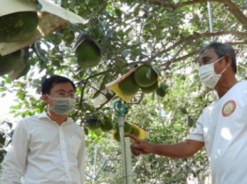 Image: Mr. ‘Minh Pomelo’ and the passion for technology application