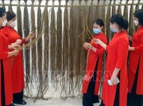 Image: Quang Ninh exhibition highlights Ao Dai made of silk, hemp