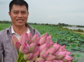 Image: Rural tourism: 50-hectare lotus village of amidst capital