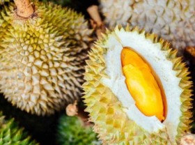 Image: Thailand expects a meeting with Vietnam, China and Laos to promote fruit trade