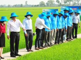 Image: The effectiveness of bio-pesticides is no longer on paper!