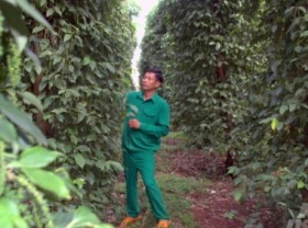Image: The marvelous captain of a new-style cooperative