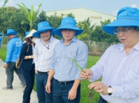 Image: The power of biology on rice paddies
