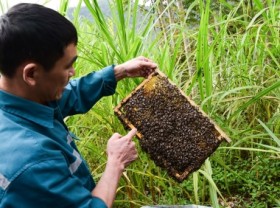 Image: Unreasonable honey anti-dumping investigation from the USA