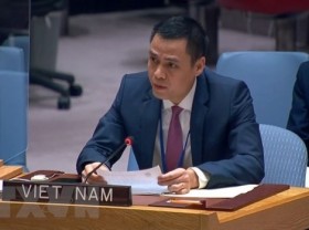 Image: Vietnam ready to make substantive contributions to UN development forums: Ambassador