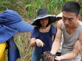 Image: Young people are charmed by green agriculture: An overseas Vietnamese’s passion