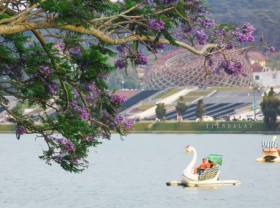 Image: Revealing the experience of pedaling Duck Ho Xuan Huong for those who experience it for the first time 