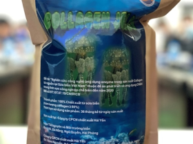 Image: Research yields effective process of collagen production from jellyfish