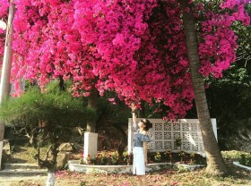 Image: The April confetti season has arrived everywhere, have you prepared your virtual life yet?