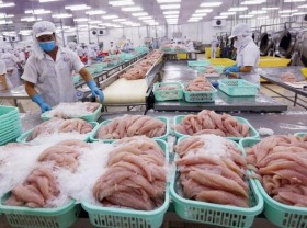 Image: Business matching webinar on seafood products with EU held