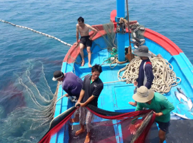 Image: Vietnamese business makes increasingly effective use of EVFTA