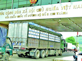 Image: Vietnam’s farm exports to China require stricter standards