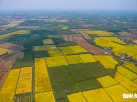 Image: Ho Chi Minh City to launch sightseeing helicopter tours by April 30