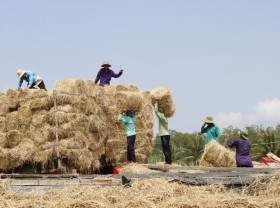 Image: Make money from… straw￼