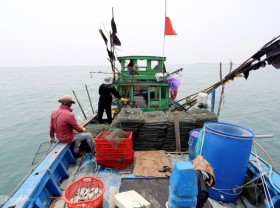 Image: Release cages to catch crabs