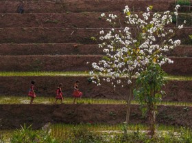 Image: TRAVEL GUIDE Mai Chau