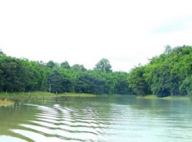 Image: Where is the Bu Dop eco-tourism area in Binh Phuoc? What’s playing?