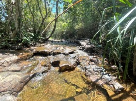Image: Winding stream in the middle of Binh Duong bamboo forest