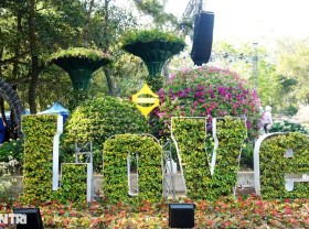 Image: Young people enjoy “virtual life” with the flower road of love on Truong Le Peak