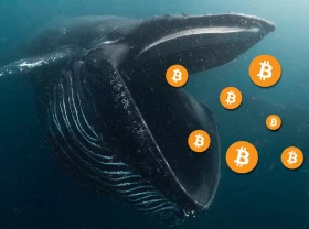Image: Unknown Wallets Acquired $703 Million In Bitcoin From Coinbase