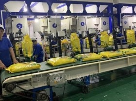 Image: Vietnam aims to boost rice export to ASEAN