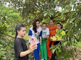Image: Durian garden with 300 trees attracts customers in the West