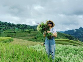 Image: Experience going to Muong Lo Yen Bai – the second largest ‘rice bowl’ in the Northwest region