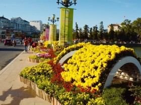 Image: Lâm Đồng prepares for Đà Lạt Flower Festival