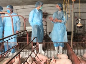 Image: Announcing the African Swine Fever vaccine in June