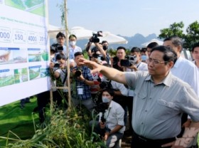 Image: Commencing the project of “paradise” for 4,000 dairy cows in Son La
