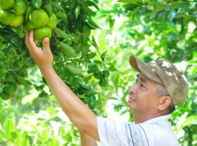 Image: Elevating the strength of Central Highlands agriculture