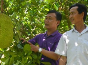 Image: Grasping agricultural products’ data before promoting to the market