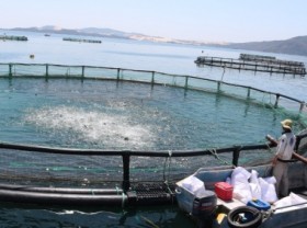 Image: HDPE cage - an important piece for the sustainability of seaculture