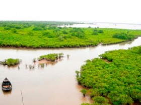 Image: Investing roughly USD 4.4 million to restore mangroves