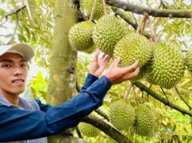 Image: Keys for Vietnamese farming products enter China