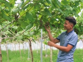 Image: Performing modern agriculture in Israeli style