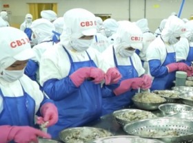 Image: Positive prospect of shrimp exports surpassing 4 billion USD
