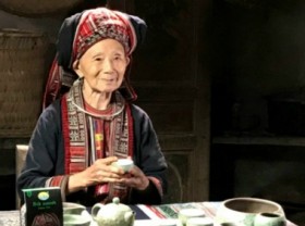 Image: Quintessence of Vietnamese agricultural products: Phin Ho tea