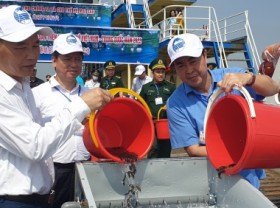 Image: Releasing fish fingerlings to regenerate the Gulf of Tonkin's aquatic resources