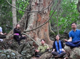 Image: Rural tourism: Forest bathing in Na Hang to cure mental wounds
