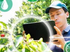 Image: Strategies for Vietnam agriculture to assume the lead
