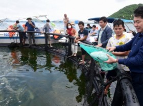Image: Strengthening blue economy through specific solutions