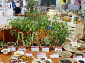 Image: The flow of Vietnamese spices reaching out to the world market