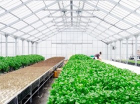 Image: Vietnam agriculture getting close to ‘the 5.0 challenge & chance’