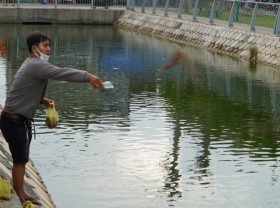Image: Revive the ‘dead’ canal in the heart of Ho Chi Minh City