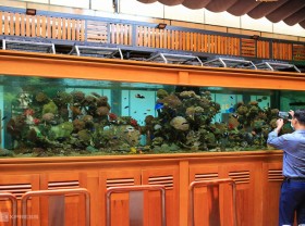 Image: The hobby of ‘bringing the ocean to dry’