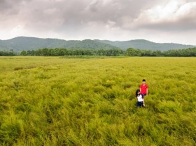 Image: Thousands of fields of root crops in Con Son