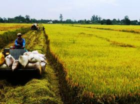 Image: Transport infrastructure development key to Mekong Delta growth